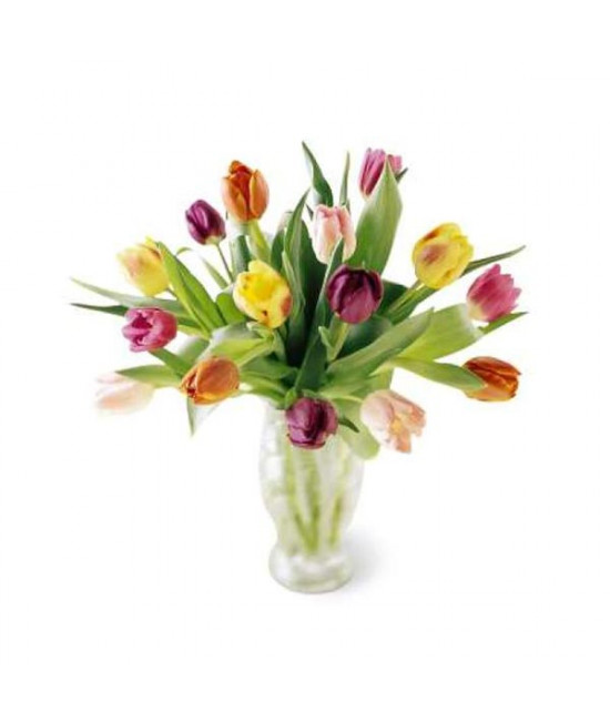 The Carnival Bouquet The Carnival Bouquet
